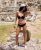 Antalya Escort Hande - Image 2